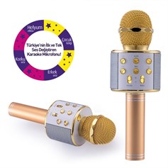 Goldmaster Idance Solist Karaoke Mikrofon